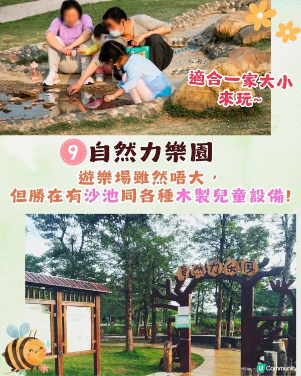 深圳福田區療癒系公園打卡攻略🌲秋天蘆葦海/絕美湖景/打卡驛站!✨