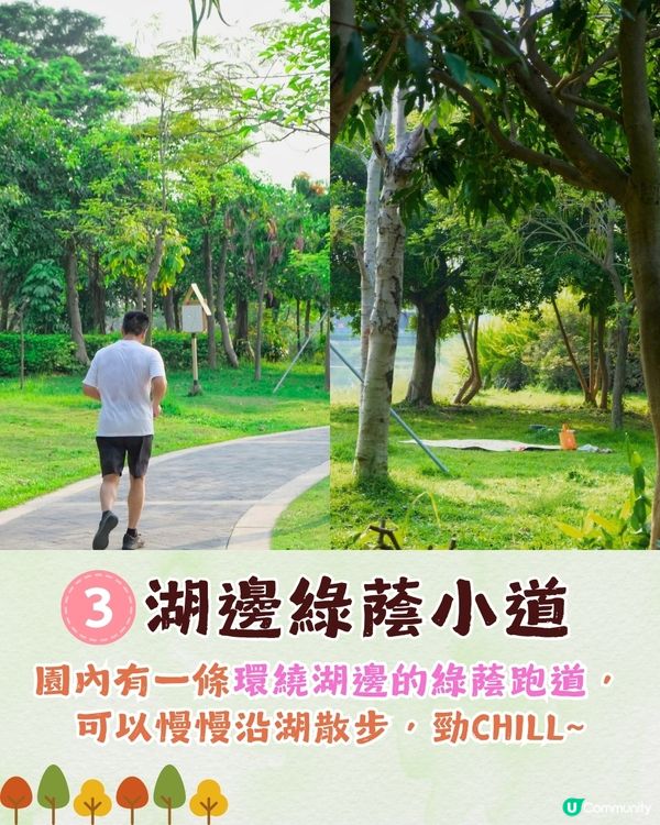 深圳福田區療癒系公園打卡攻略🌲秋天蘆葦海/絕美湖景/打卡驛站!✨