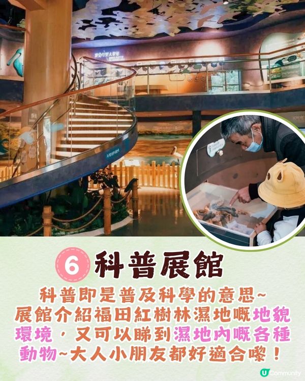 深圳福田區療癒系公園打卡攻略🌲秋天蘆葦海/絕美湖景/打卡驛站!✨