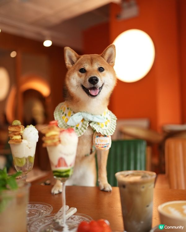 黃埔人氣甜品芭菲🍧