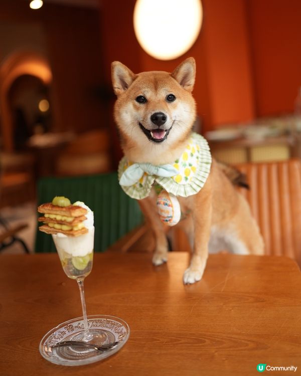 黃埔人氣甜品芭菲🍧