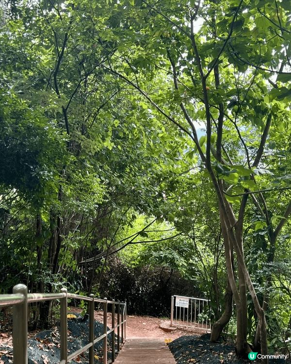 前深水?配水庫真係好?，歐式建築非常典雅莊嚴，歐洲傳統風格花...