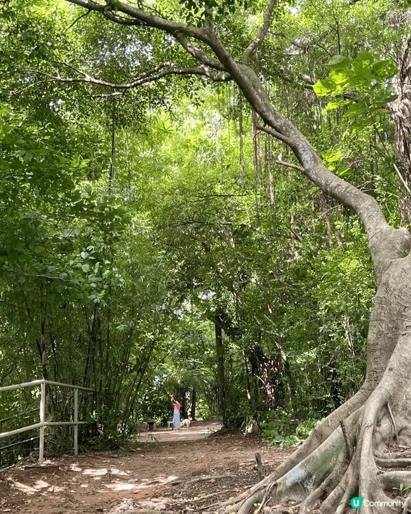 前深水?配水庫真係好?，歐式建築非常典雅莊嚴，歐洲傳統風格花...