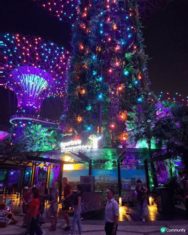 星加坡的海濱夜景一流，燈飾建築都打造得很美麗，大自然的植物混...