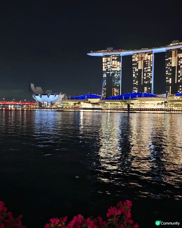 星加坡的海濱夜景一流，燈飾建築都打造得很美麗，大自然的植物混...