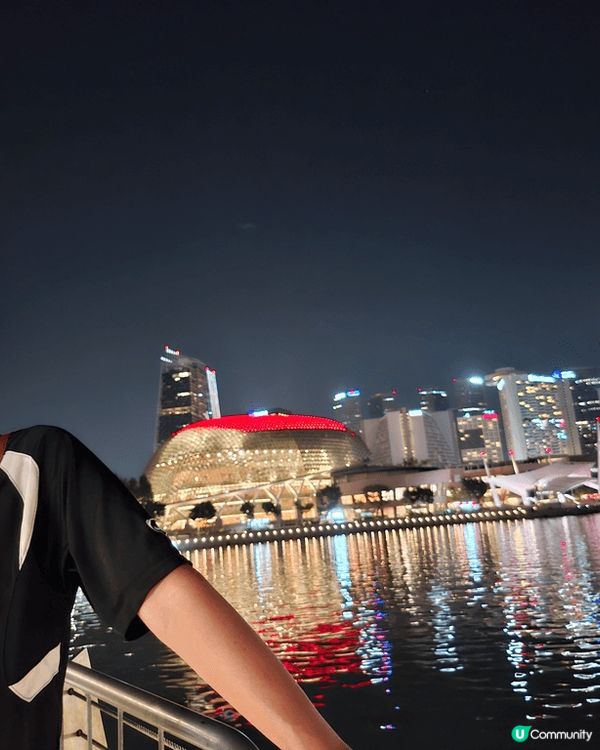 星加坡的海濱夜景一流，燈飾建築都打造得很美麗，大自然的植物混...