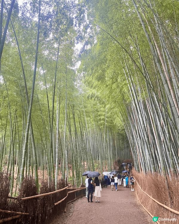 京都另一必去景點 - 嵐山渡月橋