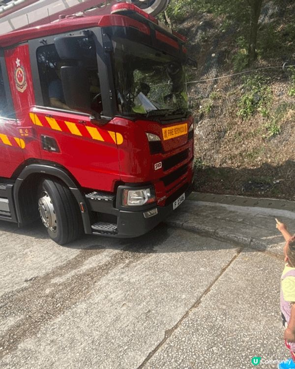 這是由於埔往城門水塘的路段，喜歡這路段老少皆宜，給識行的BB...