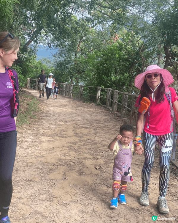 這是由於埔往城門水塘的路段，喜歡這路段老少皆宜，給識行的BB...