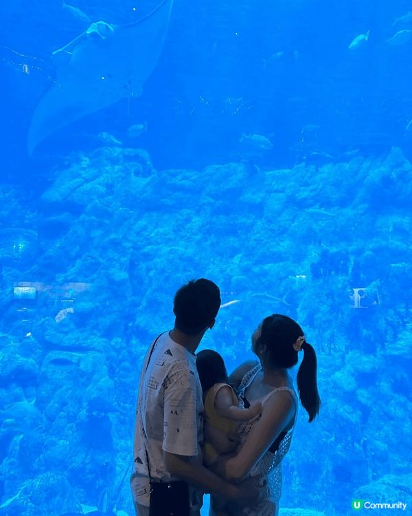 因為bb女仲細，未有得帶佢出國，唯有帶佢係香港去多?地方，上...