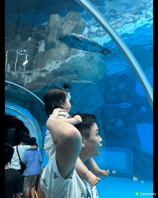 因為bb女仲細，未有得帶佢出國，唯有帶佢係香港去多?地方，上...