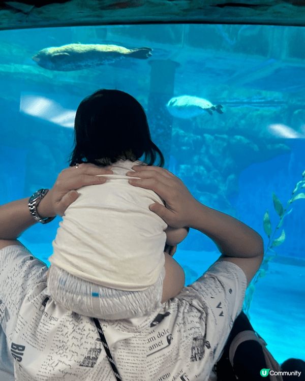 因為bb女仲細，未有得帶佢出國，唯有帶佢係香港去多?地方，上...