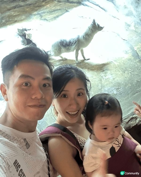 因為bb女仲細，未有得帶佢出國，唯有帶佢係香港去多?地方，上...