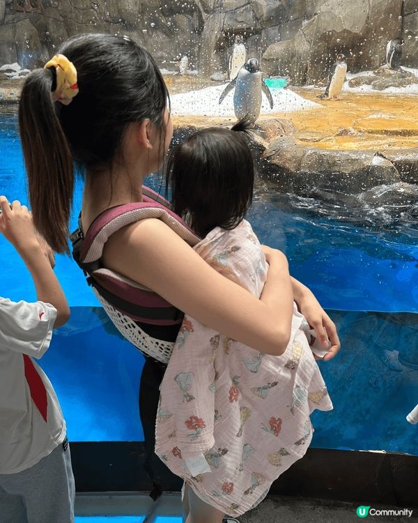 因為bb女仲細，未有得帶佢出國，唯有帶佢係香港去多?地方，上...