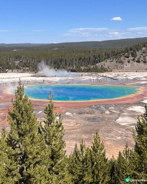 美國黃石公園，我記得當日去見到野生熊，同埋見到Old Fai...