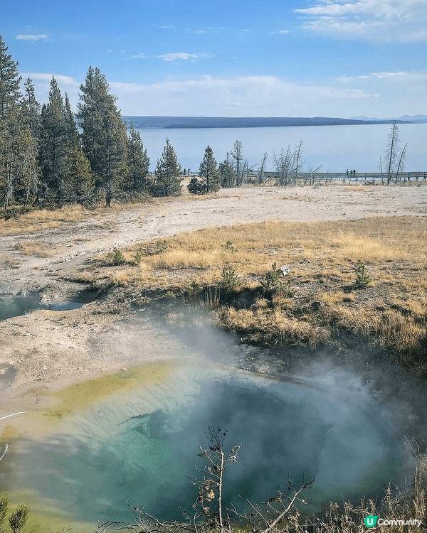 美國黃石公園，我記得當日去見到野生熊，同埋見到Old Fai...