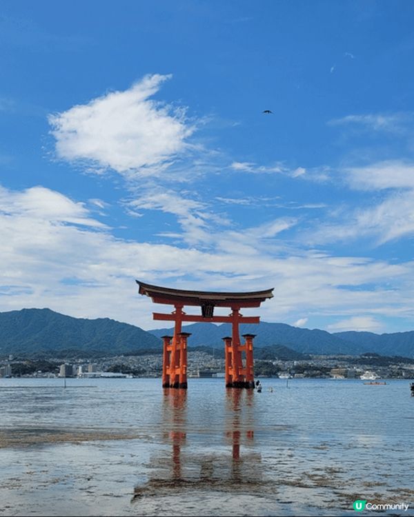 日本廣島是我最愛的城市，既有瞭闊天空和瀨戶內港，當中海中鳥居...