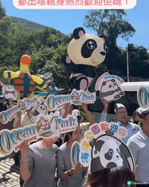 機場九龍城寨旅客到香港打卡位，有舊香港情懷，仲有去海洋公園睇...