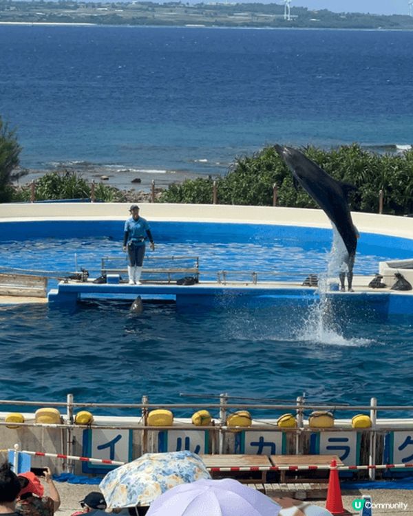 沖繩美麗海水族館係一個老少皆宜?地方，設施方便，?沖繩好靚?...