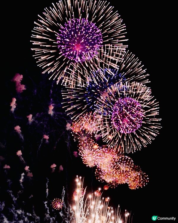 日本利根川花火大會