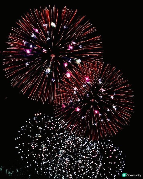 日本利根川花火大會