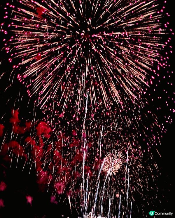 日本利根川花火大會