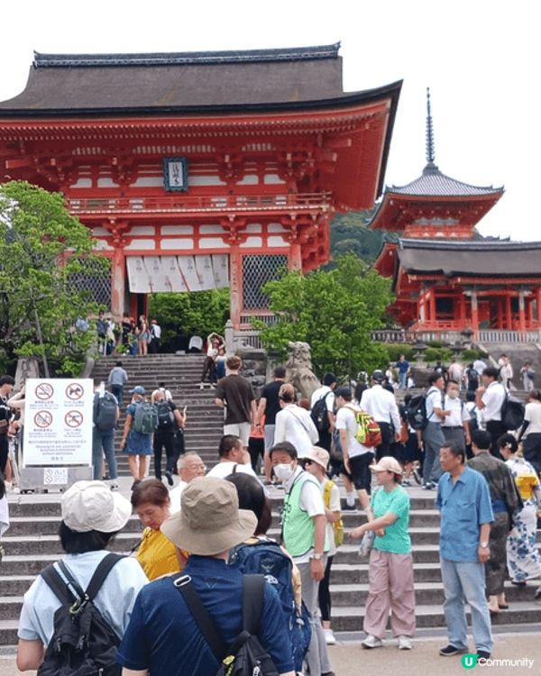 大板自由行。good food good people go...