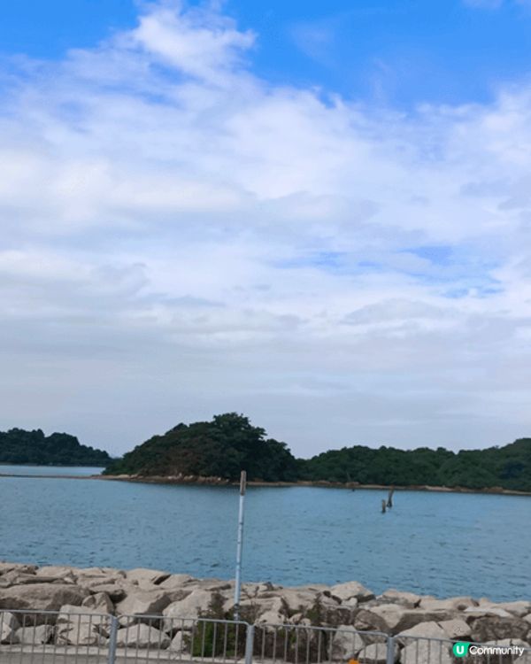 第一張是欣澳站對出的紅樹林，有一個地方名天使之路，潮退時影相...