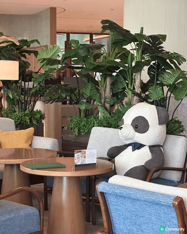 我很喜歡酒店的infinity pool，可以看?一望無際的...