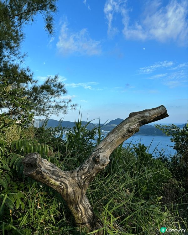 香港行山地點—魔鬼山，俯瞰香港一帶景色，黃昏時份，香港有很美...