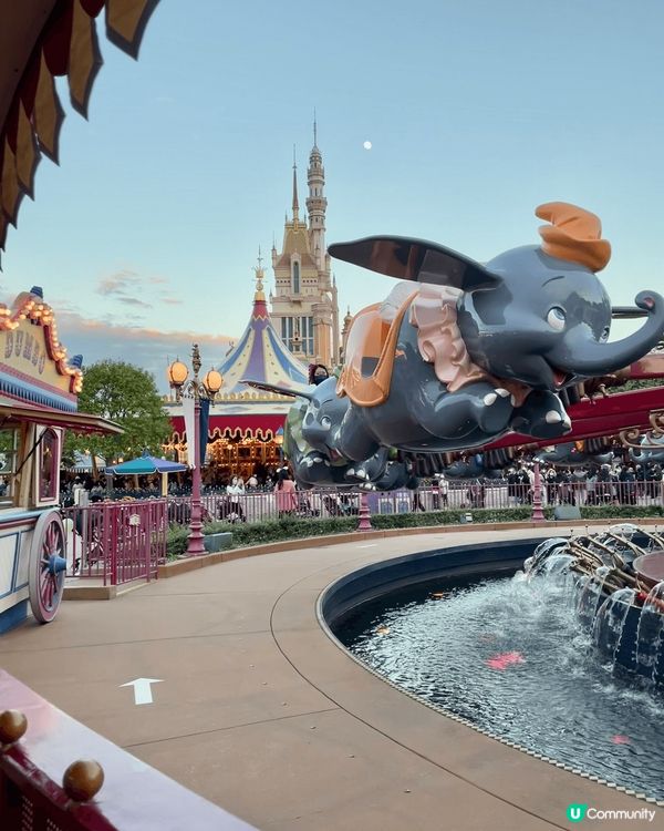 我很喜歡這些照片，因為睇到?相會令我回想起當時的回憶，有煙花...