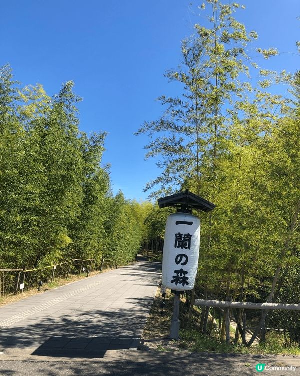 日本福岡一蘭拉麵??專門店，拉麵可以揀軟硬度，仲可以參觀制做...