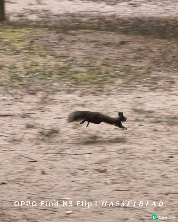 剛去完的韓國江原道及京畿道的旅行景點，環境好舒服，江原道渡假...
