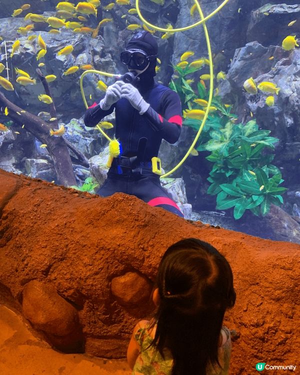 我既小朋友最鍾意去珠海長隆既飛船王國 ，又有得玩，又有得認識...