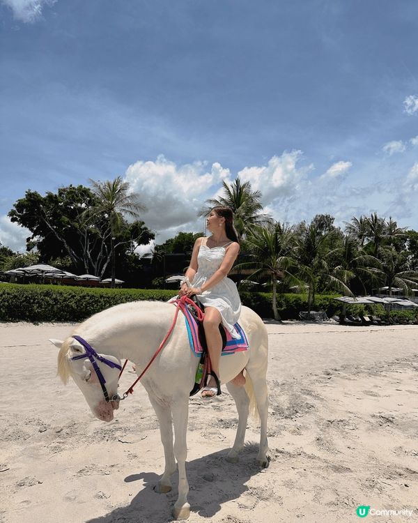 泰國北碧府野生動物園，與吉普車長頸鹿斑馬合照，又可與動物互動...