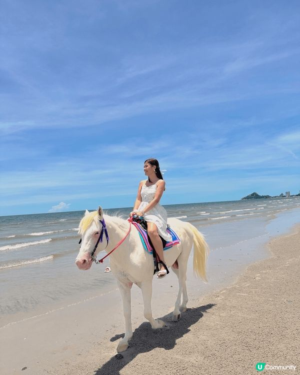 泰國北碧府野生動物園，與吉普車長頸鹿斑馬合照，又可與動物互動...