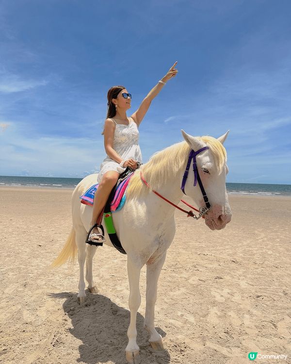 泰國北碧府野生動物園，與吉普車長頸鹿斑馬合照，又可與動物互動...