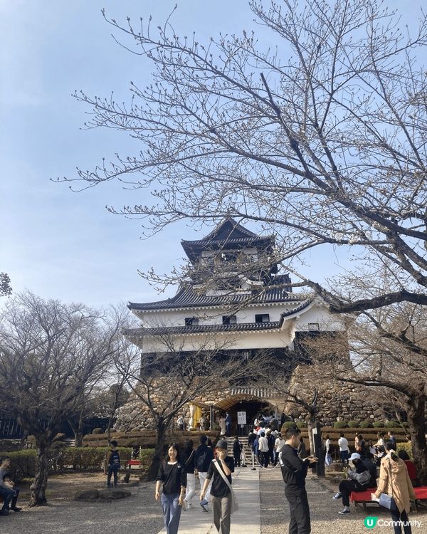 名古屋熱門景點：港區水族館，犬山城，榮商圈