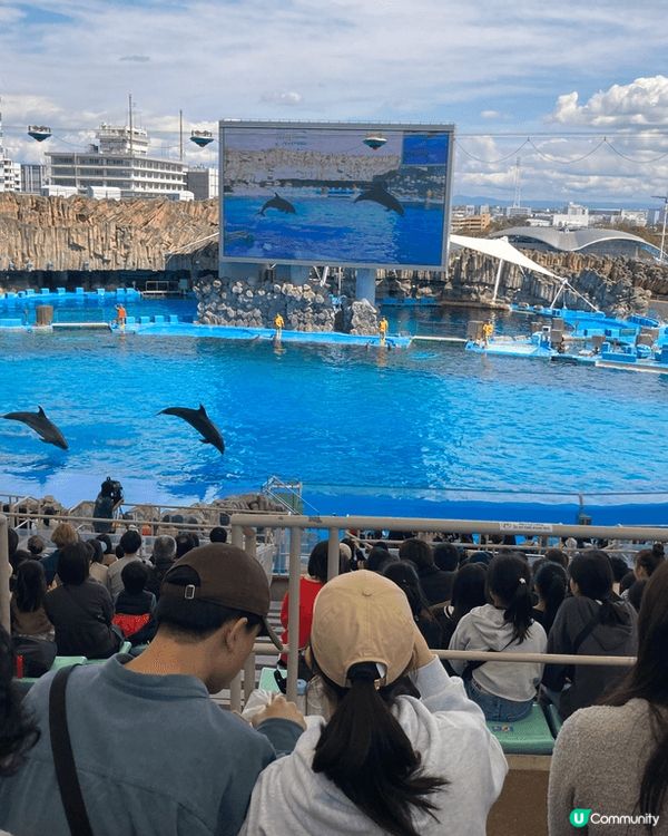 名古屋熱門景點：港區水族館，犬山城，榮商圈