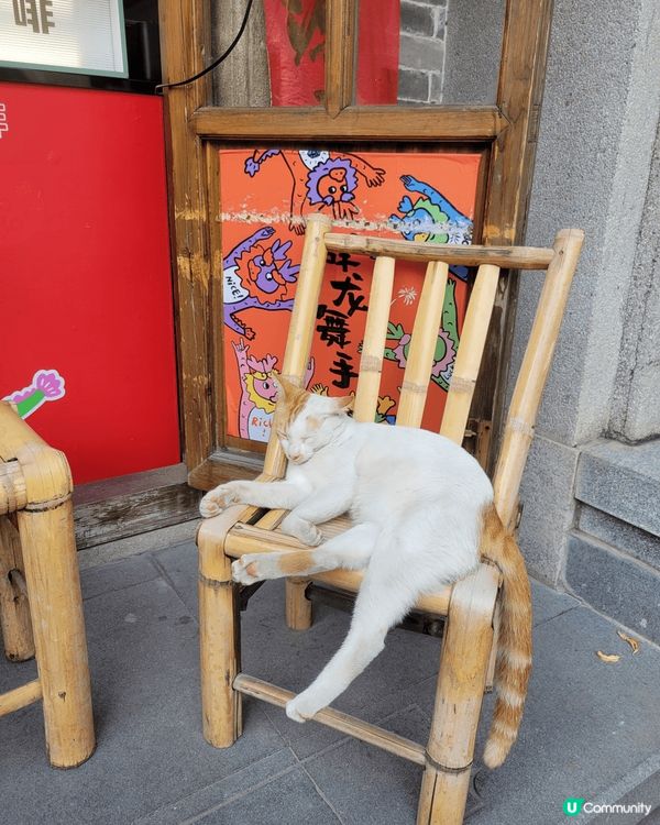 ??去?深圳南頭古城，入面?得coffee 好正，到處都係打...