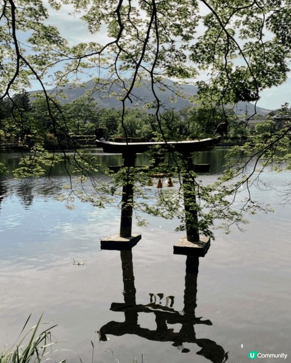 日本擁有四季的自然之美，春天的櫻花、夏天的煙火、秋天的紅葉、...