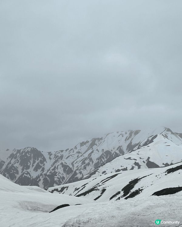 日本立山黑部 4至6月限定！20米高巨大雪壁