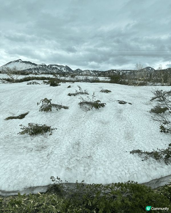 日本立山黑部 4至6月限定！20米高巨大雪壁