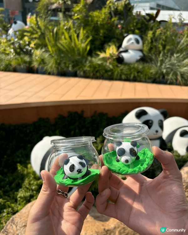 ???? 萬聖節在海洋公園的驚悚冒險！????