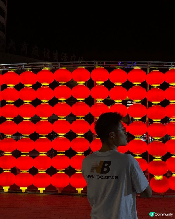 我開始注意早晨或午後的光在房間牆上的投影，有時是枝葉交錯猶如...