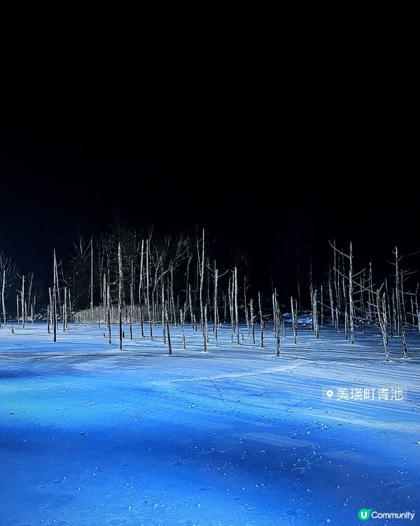 相片是攝於2023年12月，行程係先遊北海道，然後再遊東京，...