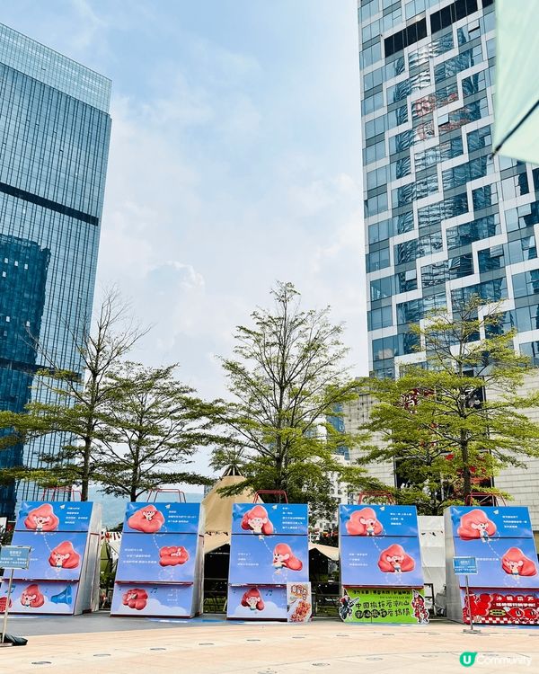 星河 WORLD COCO Park 大露天廣場多活動舉辦