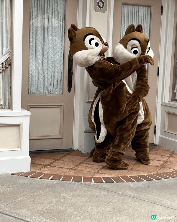 這些相片是在香港迪士尼樂園拍的，我喜歡這個景點是因為當中的卡...