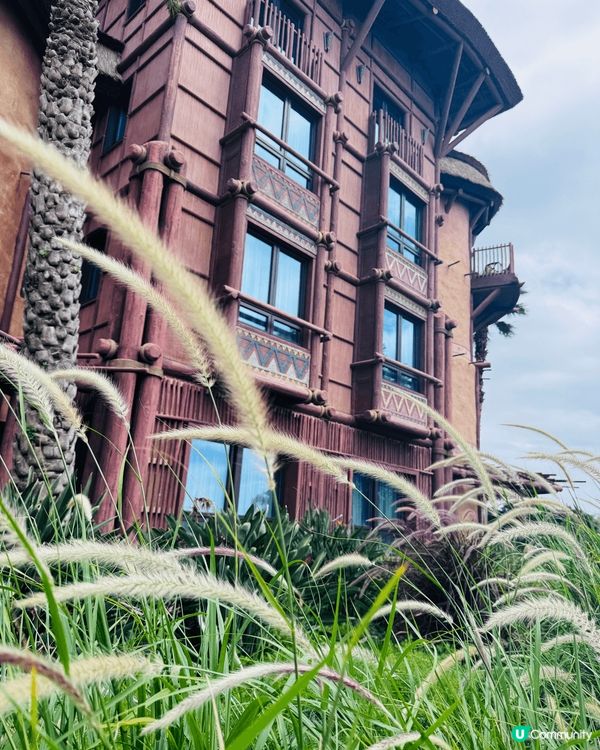 是香港迪士尼樂園和酒店內的景點。迪士尼城堡本身已經充滿了浪漫...