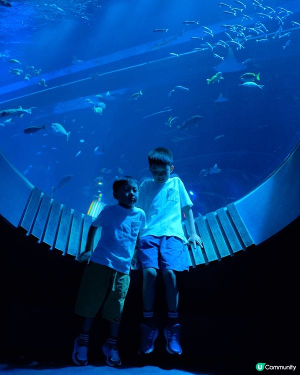 DMM Kariyushi 水族館靚到好似藝術館咁，每個水族...